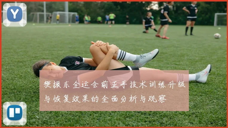 樊振东全运会前正手技术训练升级与恢复效果的全面分析与观察
